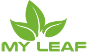 Hkmyleaf